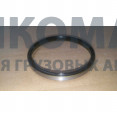 Сальник шкворня 3250 J6