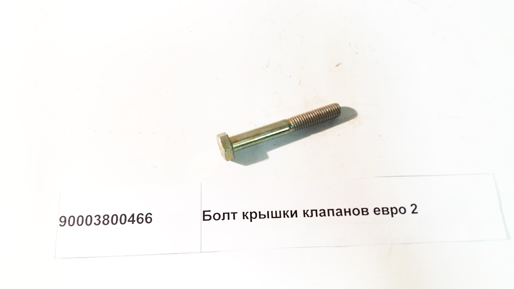 Болт крышки клапанов Евро 2